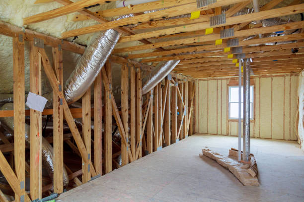 Best Insulation Inspection Services  in Traer, IA